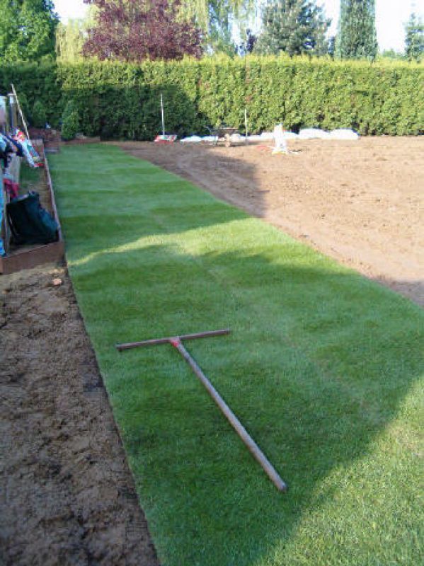 Image de diapositive