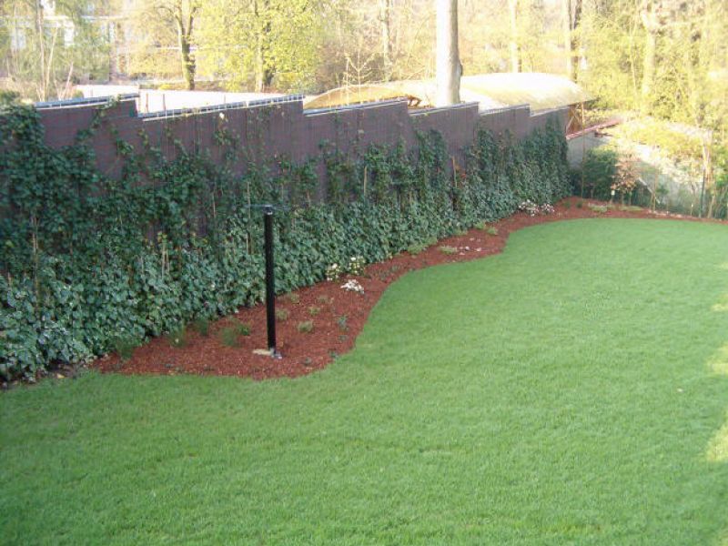 Odoo • Image et Texte