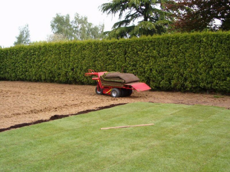 Image de diapositive