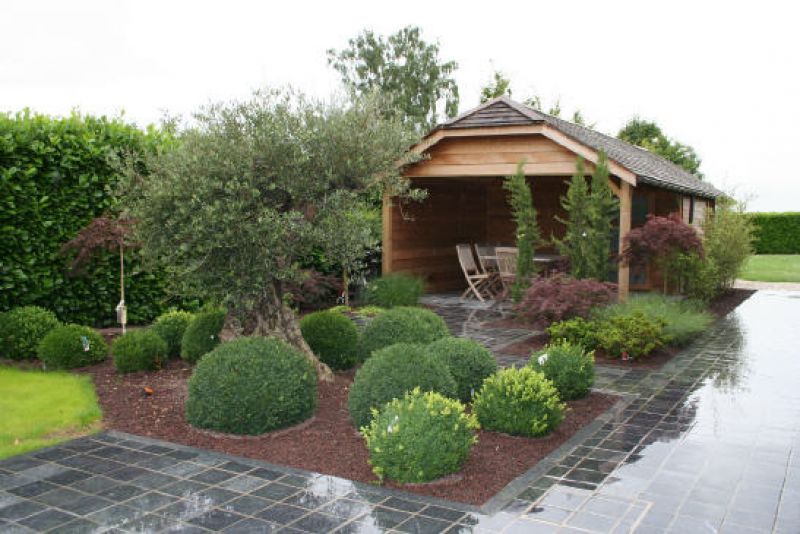 Image de diapositive