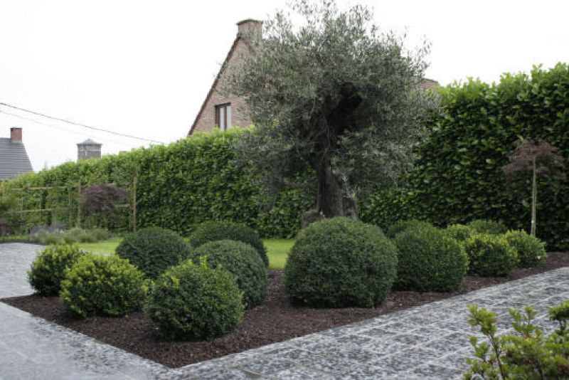 Image de diapositive