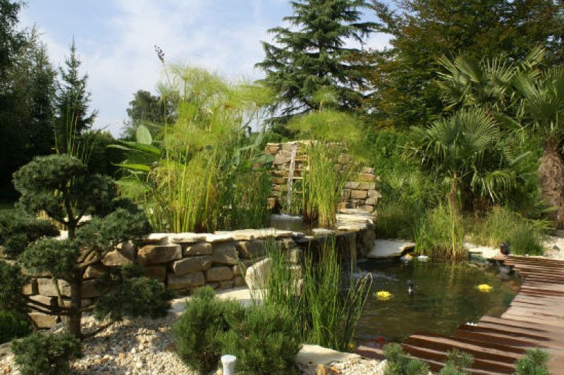 Image de diapositive