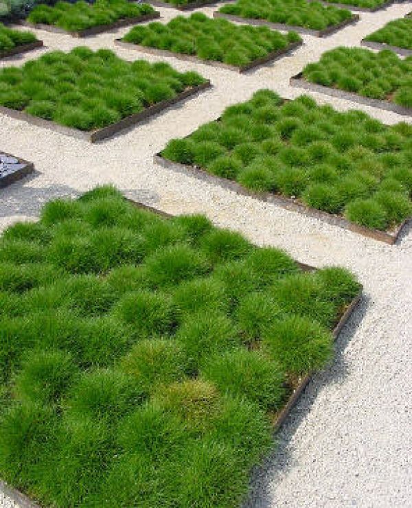 Image de diapositive