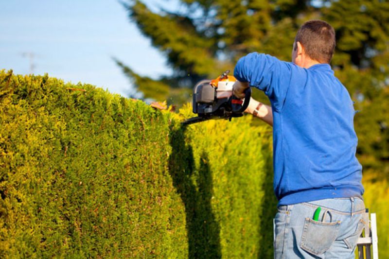 Odoo • Texte et Image