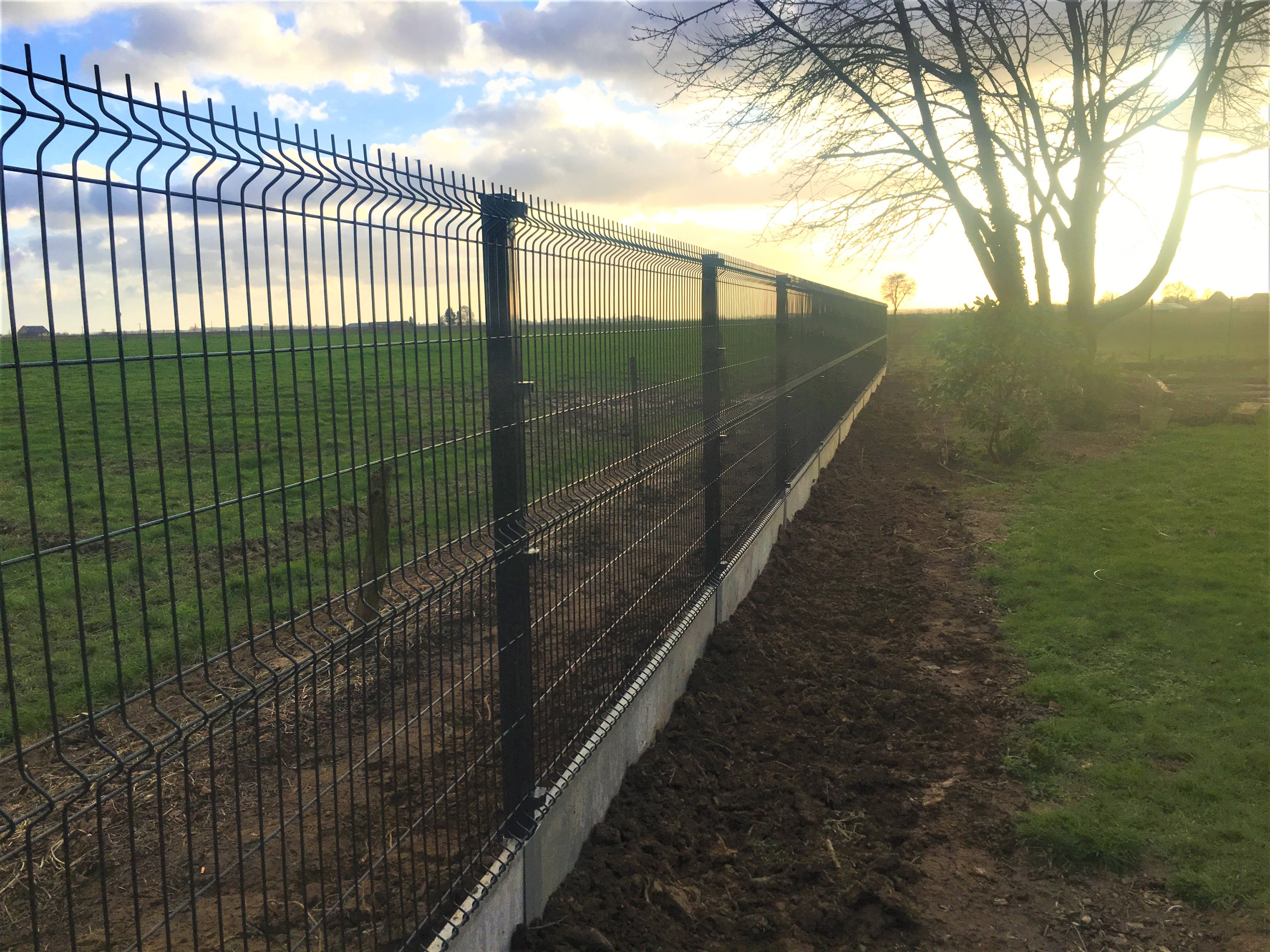 Odoo • Texte et Image