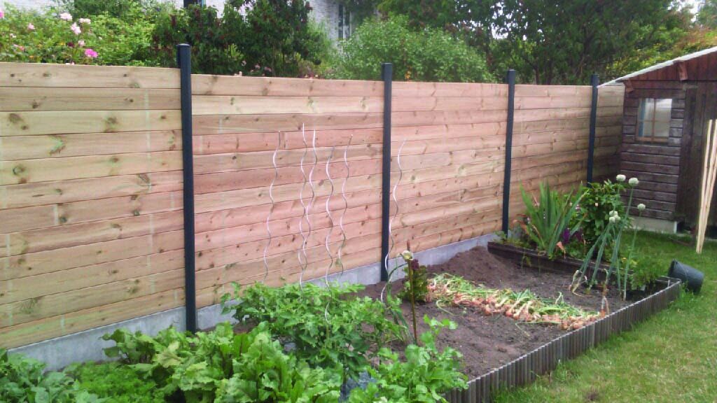 Odoo • Image et Texte