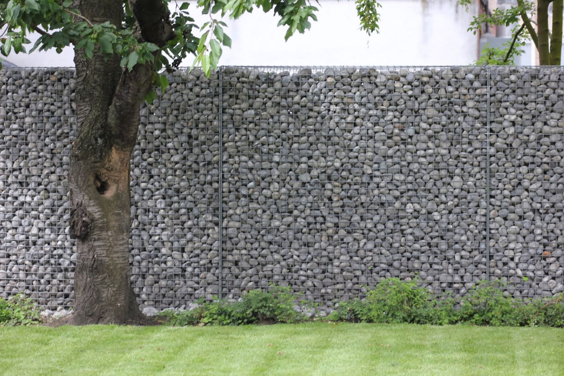 Image de diapositive